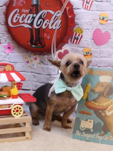 20230901マロニーくん